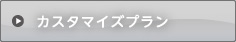 カスタマイズプラン
