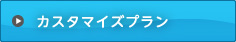 カスタマイズプラン