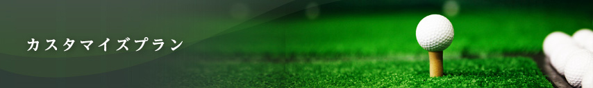 カスタマイズプラン