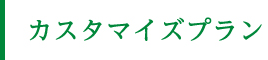 カスタマイズプラン